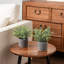2 - Piece Artificial Plant Set
