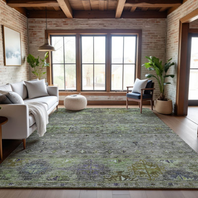 Premium Machine Washable Jeske AMF1220 Global Rug
