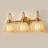 19.5'' Tulip Style Bathroom Vanity Light-966122681