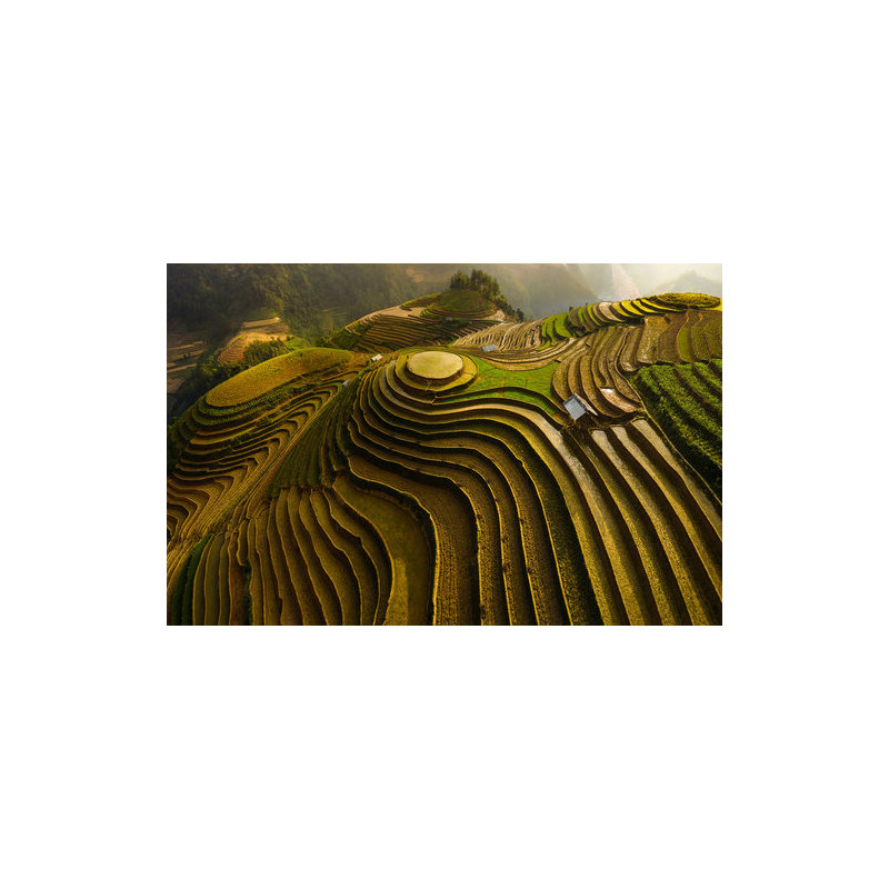 Wrapped Canvas Print, 50.8 cm H x 76.2 cm W