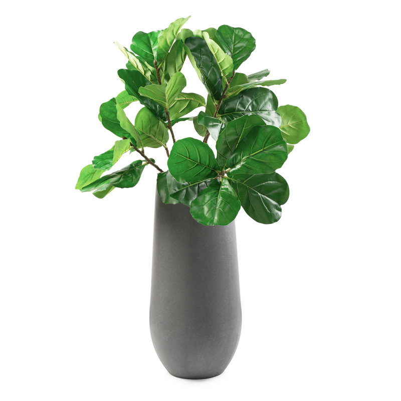 Outdoor Fiddle In Tall Grey Pot