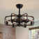Cantin 24.8" Classic Black Caged Farmhouse Ceiling Fan With Light Kit and Remote Control