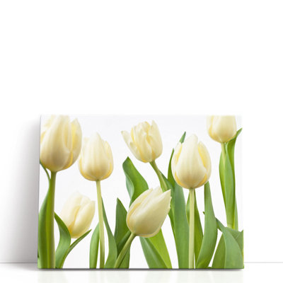 Tulip Flowers - Canvas Print Wall Art