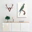 Macaw Parrot by F. Levaillant - Wrapped Canvas-55323198