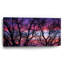 «Sunrise In The Trees» par Darren White-592751965