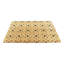 Non-Slip Indoor Doormat
