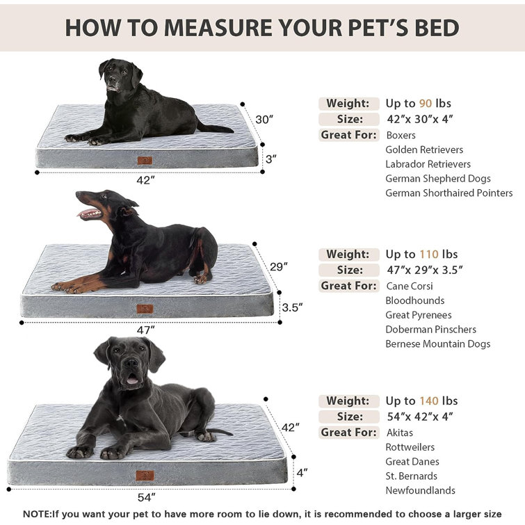 Made-To-Measure Dog Bed Mat & Mattress