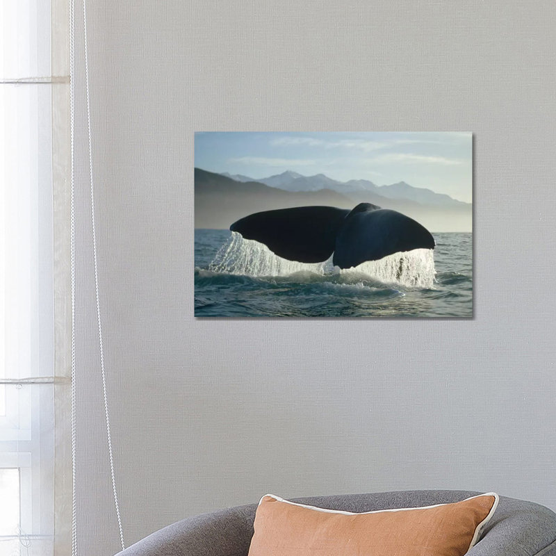 Sperm Whale Tail, New Zealand by Flip Nicklin - Wrapped Canvas Print, 66.04 cm H x 45.72 cm W x 3.175 cm D