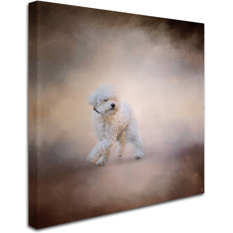«Bichon on the Go» de Vidur, impression sur toile tendue, H 18 po x l 18 po