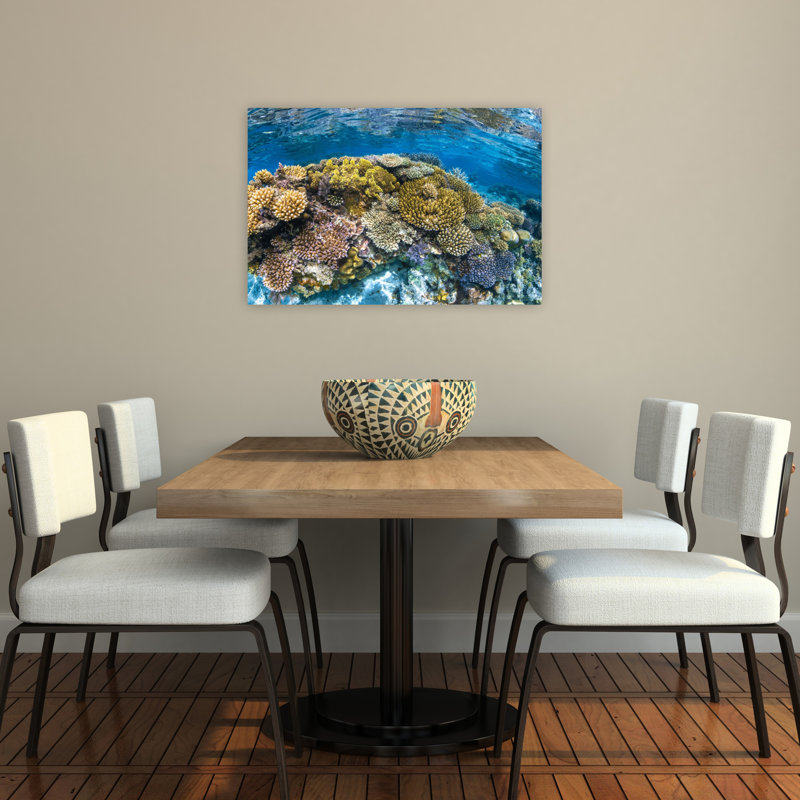 Impression murale Panoreef Ocean Tropical, H 24 po x l 36 po