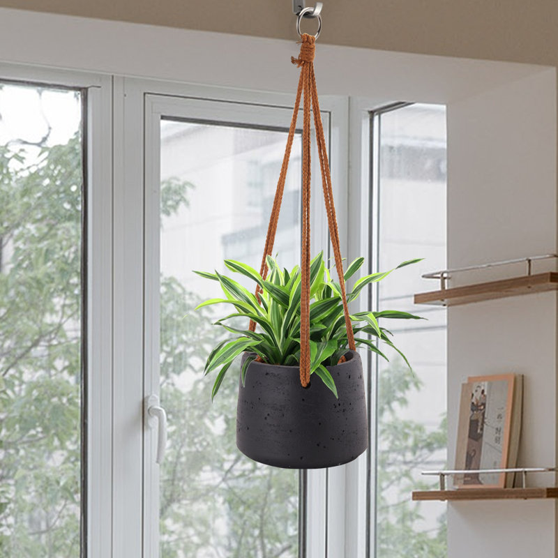 Alburg Hanging Planter, Black