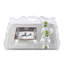 Queen Anne Decorative Tray-1702199561