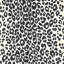 Iconic Leopard Wallpaper-20425793