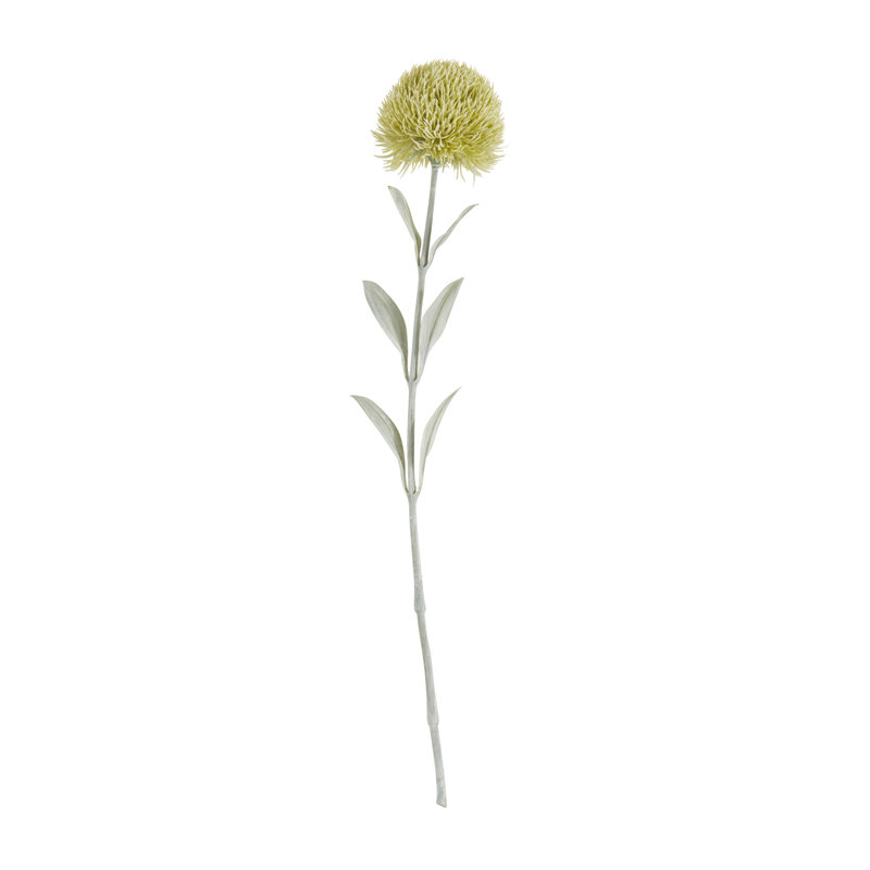 Ensemble de 12 œillets à motif floral Carnation