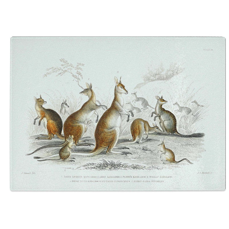Glass Kangaroos by Oliver Goldsmith Chopping Board, 28.5 cm W x 20 cm L