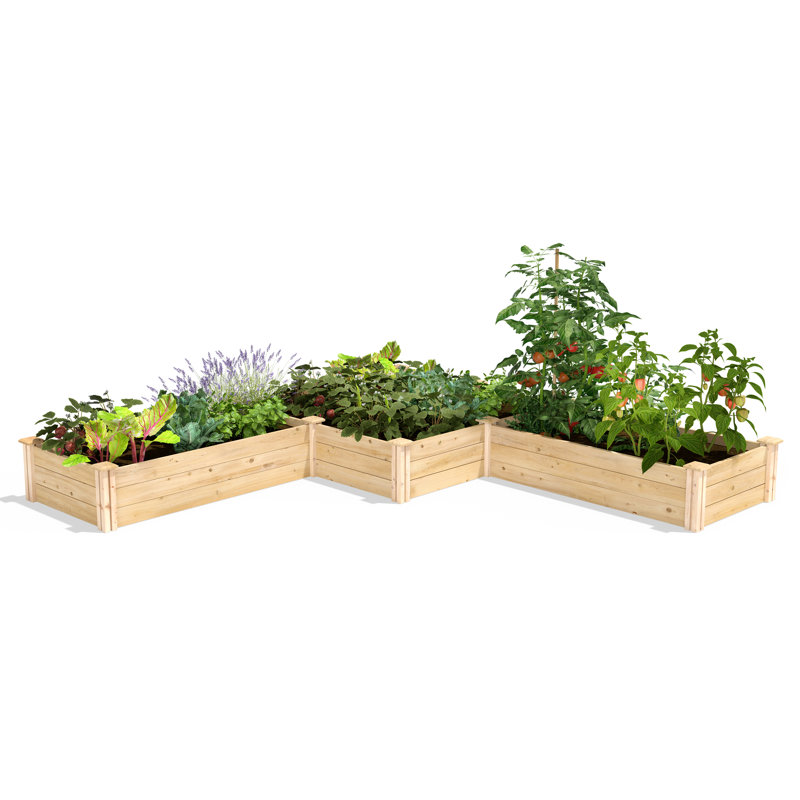 Lit de jardin surélevé en bois Original Cedar 4 pi x 12 pi, H 10,5 po x l 48 po x P 144 po