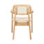 Chaises de salle à manger en PE avec assise rembourrée et structure en bois PE-125490483-118705389