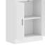 170cm H x 60cm W Standard Bookcase-201534509