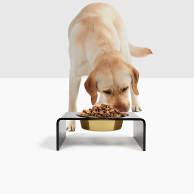 Single Bowl Elevated Feeder with Bowl