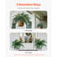 Faux Fern Plant-6104196