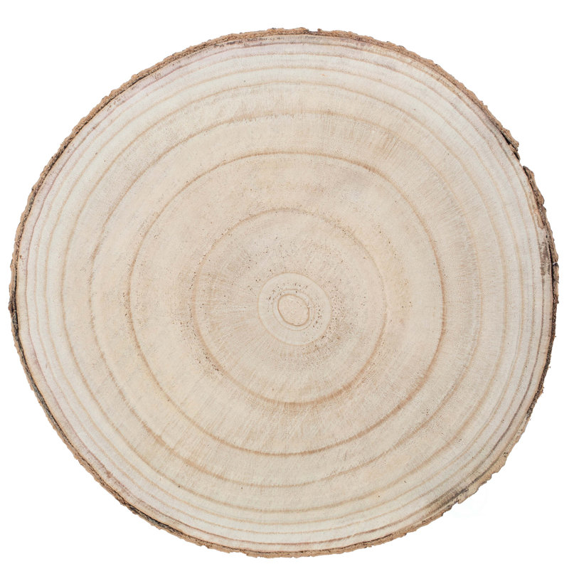 Barky Natural Wood Slabs Rustic Ornament Slice Tray Table Charger Set Of 4, 1" H x 14" W x 14" D