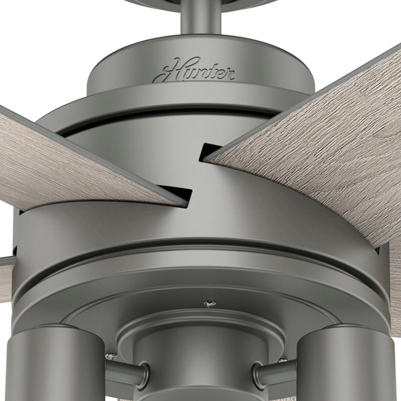 44" Hardwick 5 - Blade Standard Ceiling Fan with Remote Control and Light Kit Included, Gray