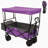 Collapsible Wagon with Canopy-112369138
