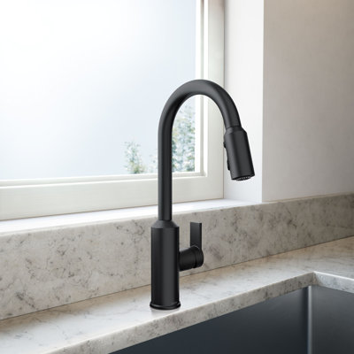 Meena Single-Handle Pull-Down Sprayer Kitchen Faucet With Powerboost And Reflex