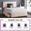 Hayder Divan Bed Base-1156754427-1123518471-1156754437
