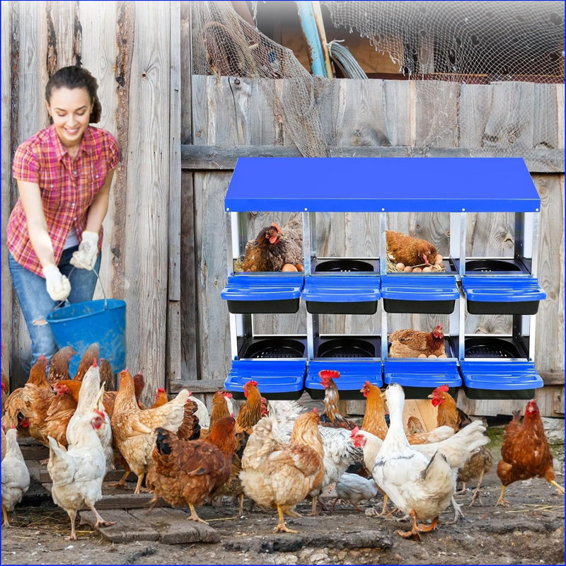Chicken Nesting Boxes,8 Hole Metal Roll Away Eggs Laying Boxes With Ventilation Holes,rustproof Plastic Tray & Keyhole Mounting, Cleanable Pull Out Nest Box For Hen & Duck