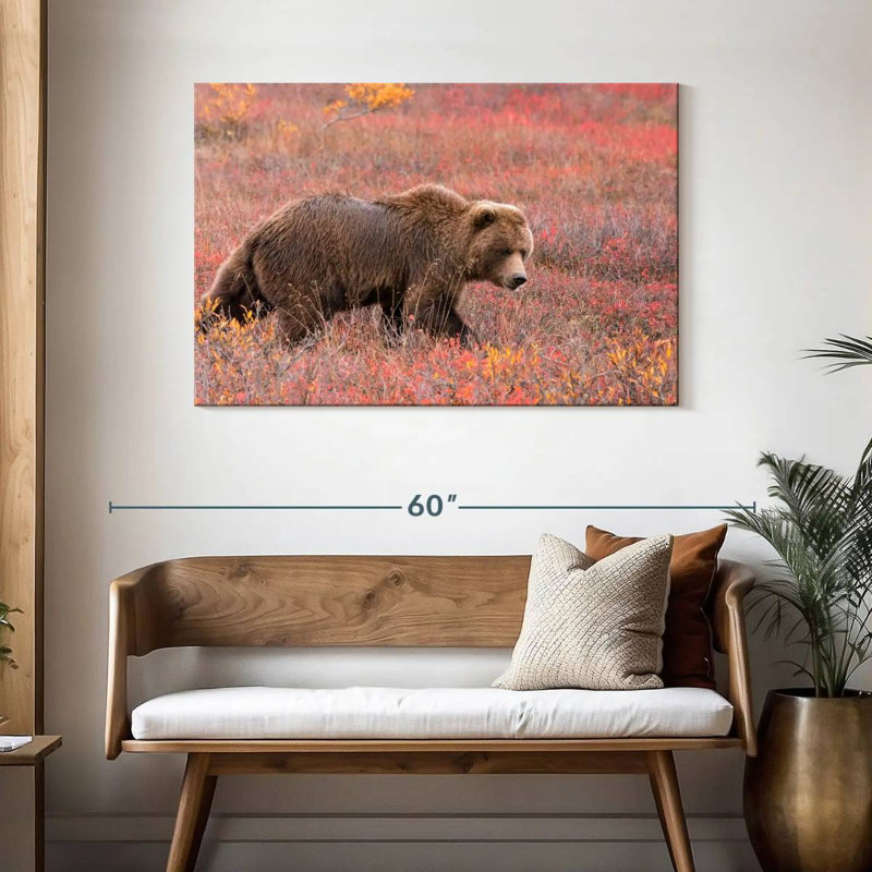 Ours grizzly Brampt, H 30 po x l 45 po