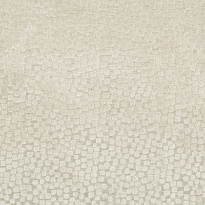 Thom Filicia Flurries Fabric