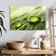 Harnek Dewdrops sur feuille verte-108699350