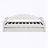 Twin Size Tufted Upholstered Daybed with Trundle-2023467773