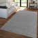 Rectangle Linglestown Solid Machine Made Polypropylene Area Rug in Anthracite