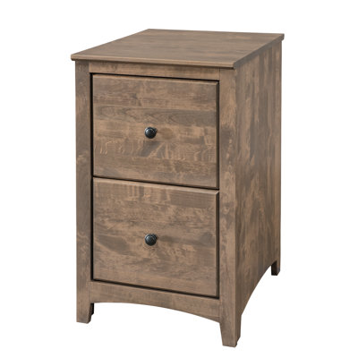 Malani 18 " Wide 2 Solid Wood Vertical Filing Cabinet