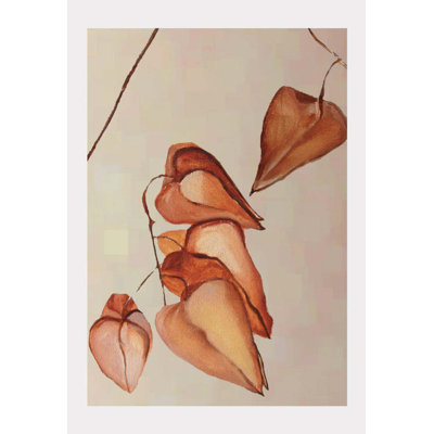 " Dried Lanterns On Mist "