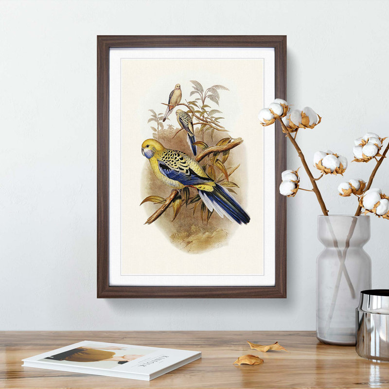 Blue Cheeked Parakeet by Elizabeth Gould - Picture Frame Painting Print, 65cm H x 48cm W x 2cm D, Walnut Framed