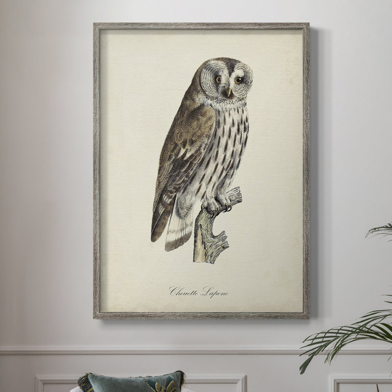 «French Owls III», reproduction encadrée - bois massif, H 30 po x l 24 po