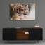 «Leopard's Lair» par Robert Campbell, art mural en verre acrylique-1367966505