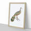 Peacock-Pheasant by John Edward Gray - Picture Frame Painting Print-55582877-55582876