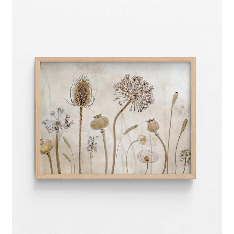 Whispered Meadow - reproduction d'art botanique neutre, Tanné, Impression encadrée sans passe-partout, H 8 po x l 10 po