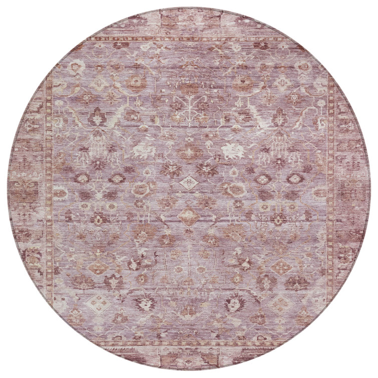 Machine Washable Indoor/Outdoor Xhevrie Blush Rug