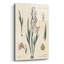 Art mural en verre Gladiola-166510632