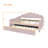 Full Size Upholstery Daybed Frame with Shall Shaped Backrest and Trundle-329704229