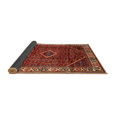 Oriental Indoor Rug