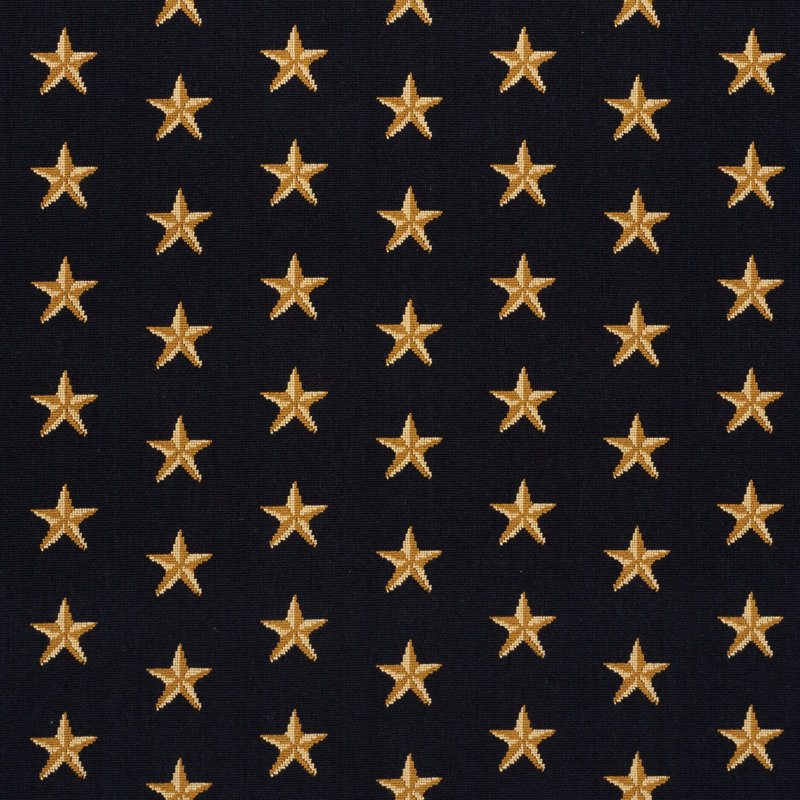 Star Épinglé Fabric, Black