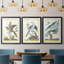 Pastel Birds IV - impression encadrée de qualité supérieure sur mesure mat - 3 pièces-1195610759-1195610757