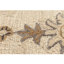 Tapis d'intérieur en laine Tiki-129907740-129907744
