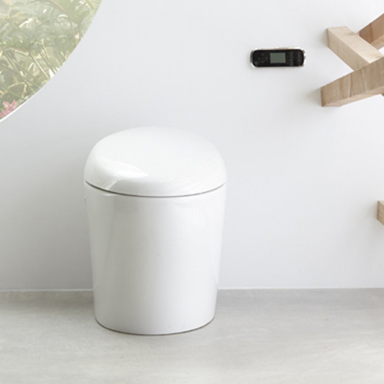 Karing Skirted One-Piece Elongated Toilet with Bidet Functionality